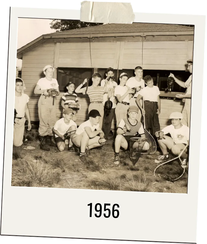 1956